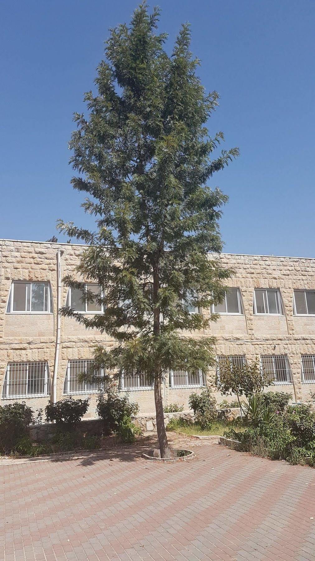 Talitha Kumi Guest House Al-Khader Exterior foto